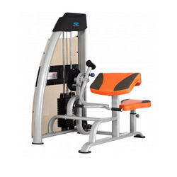 Biceps Curl Machine