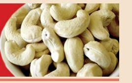 Cashew Nut