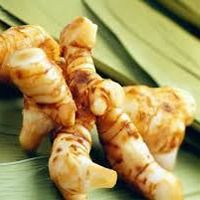 Greater Galangal