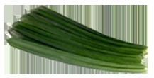 Pandan Leaf