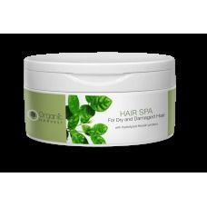 Hair Spa for Dry and Damage Hair