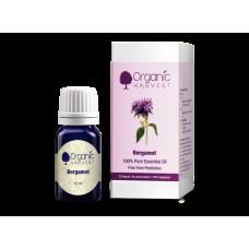 Pure Bergamot Oil