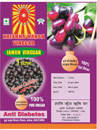 Fresh Jamun Vinegars