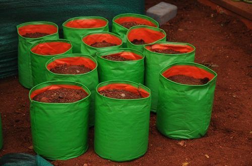 Hdpe Plant Bag