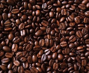 Plantrich Coffee