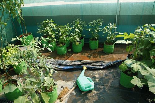 garden bag