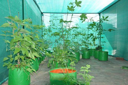 Terrace Gardening HDPE Plant Bags 