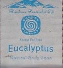 Eucalyptus Natural Body Soap
