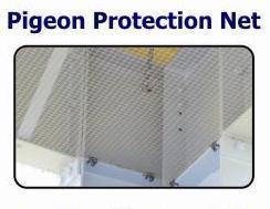 Pigeon Protection Net 