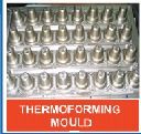 Thermoforming Mould