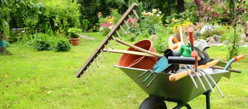 Garden Maintenance Services