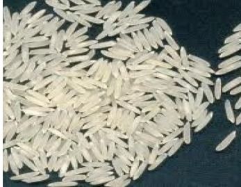 Basmati Rice