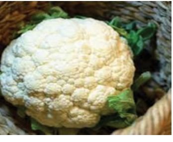 Cauliflower - Fresh, Annual Plant with Thick Green Leaves | Ideal for Vegetable Broth and Culinary Delicacies