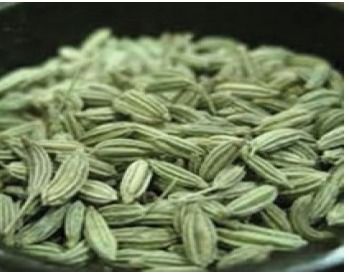 Fennel (Spices & Seasonings)