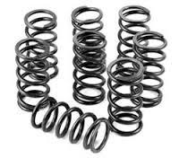 engine valve springs