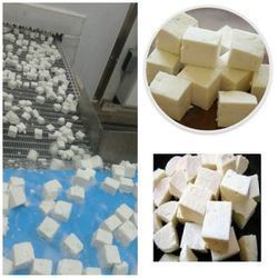 Frozen Paneer Plant - High Grade Raw Material