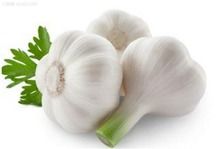 Fresh New-Garlic