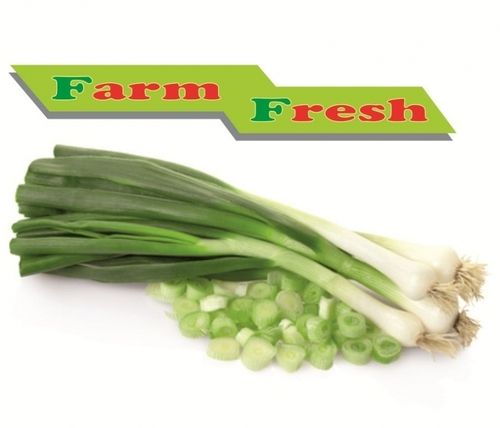 Green Onions - Fresh, Nutrient-Rich Scallions | Ideal For Salads and Stir-Fries, Health-Enhancing Compounds