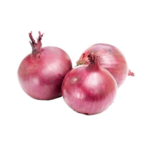 Onion