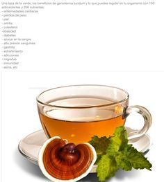 Tasty Ganoderma Lucidum Tea