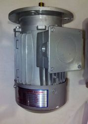 Flange Type Ac Three Phase Motor