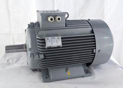 AC Induction Electric Motor