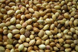 Coriander Seeds