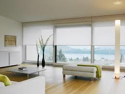 Long Lasting Window Blinds