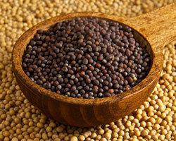 Mustard Seeds