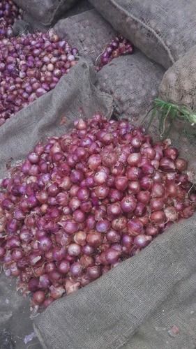 Fresh Red Onion