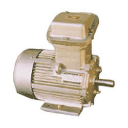 Flame Proof Motors