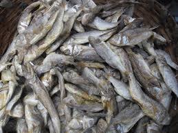 dry fish