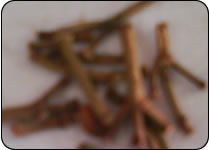 Clove Sticks