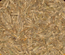 Cumin Seeds