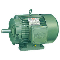 High Efficiency Standard Motor