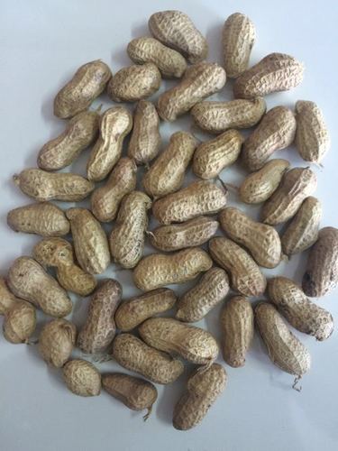 Java Quality Peanuts