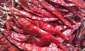 Red Chili