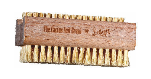 The Cactus Nail Brush