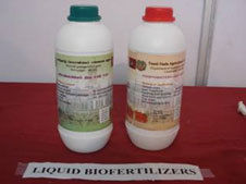 Biofertilizers for Agriculture