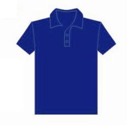 Blue Color Plain T Shirt