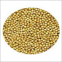 Millet Grains Seeds