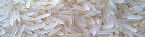 Basmati Rice