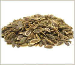 Dill Seeds