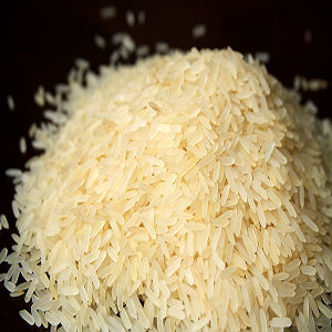  अधपका चावल