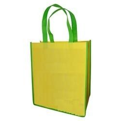 Non Woven Shoe Carry Bag