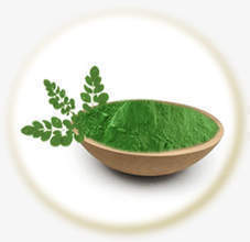 100% Organic Moringa Leaves Powder