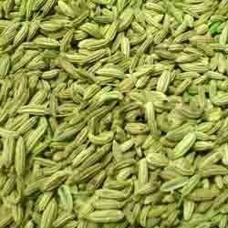 Fennel Seed