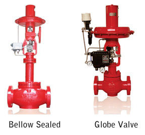 Globe 2 Way Control Valve