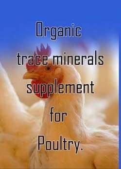 Organomin Poultry Feed