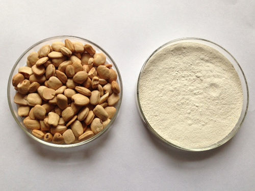 Tamarind Kernel Powder